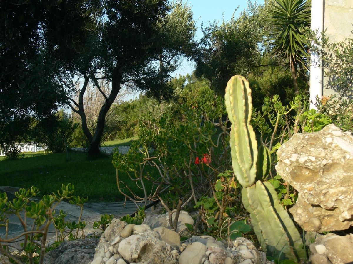 Villa Quietude Άγιος Στέφανος Δωμάτιο φωτογραφία